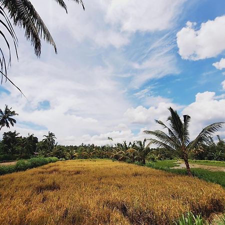 Bunga Maliq Bungalow Lombok 特特巴图 外观 照片