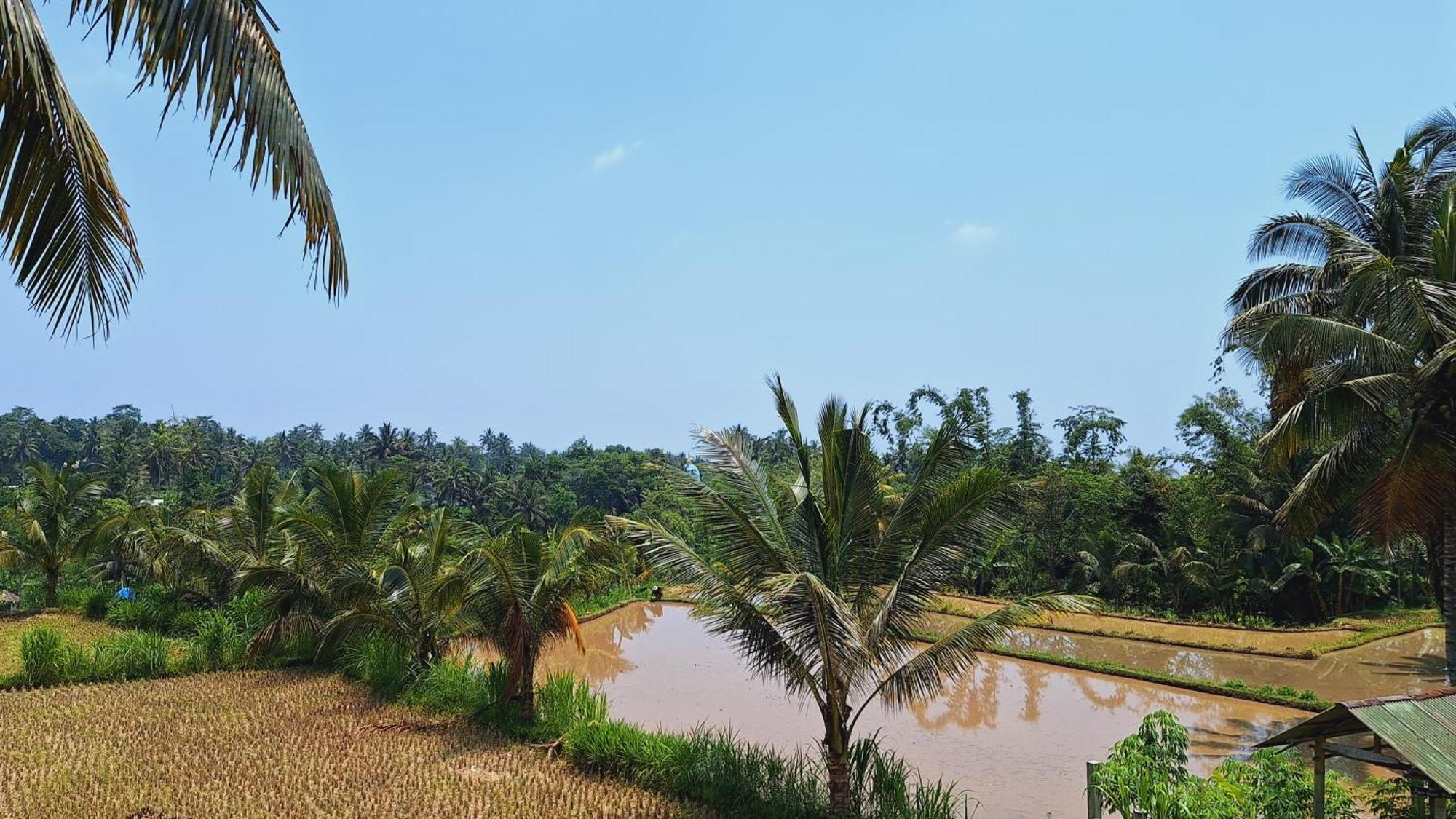 Bunga Maliq Bungalow Lombok 特特巴图 外观 照片