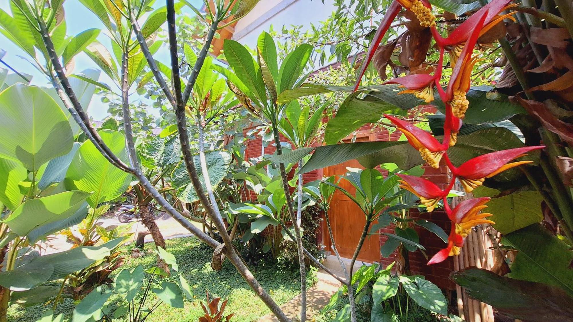 Bunga Maliq Bungalow Lombok 特特巴图 客房 照片